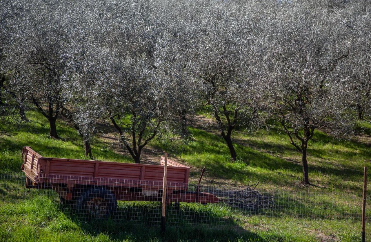 Locanda Agricola Posapiano Montecarlo Exterior foto